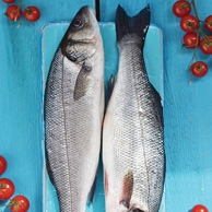 Sea bass