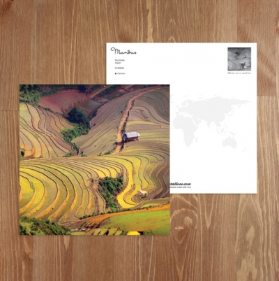 Rice fields