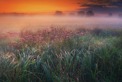 Dawn