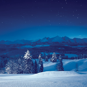Starry winter night