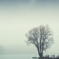 Starry sky