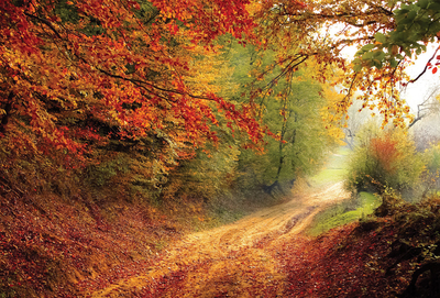 Autumn is coming