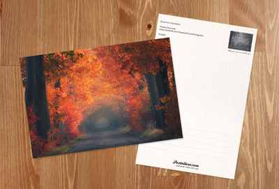 Autumn impressions
