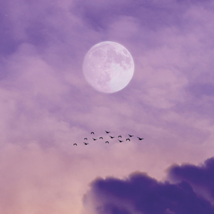 Full moon and a flight of birds