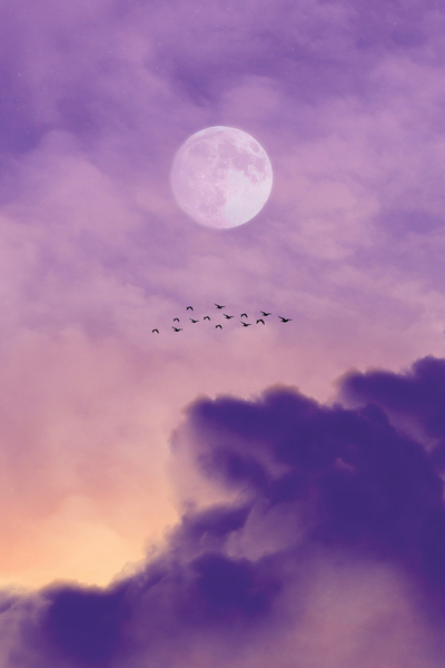 Full moon and a flight of birds