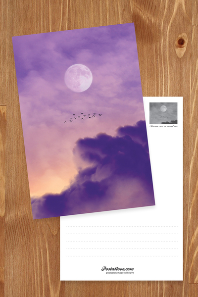 Full moon and a flight of birds