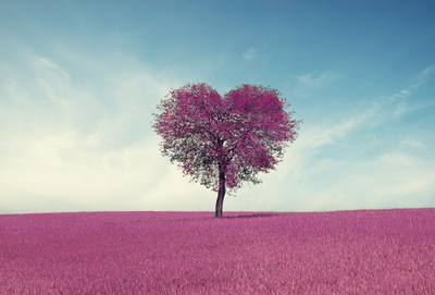 Lavender heart shaped tree