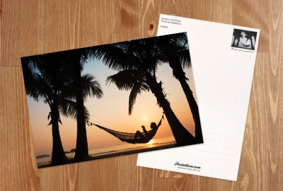 Palm trees