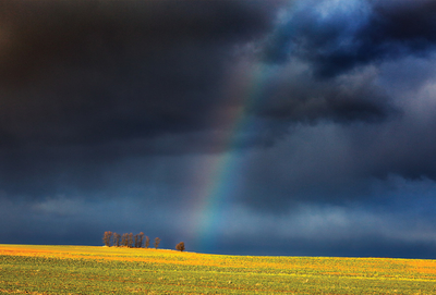 Light of hope
