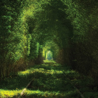 Tunnel of Love