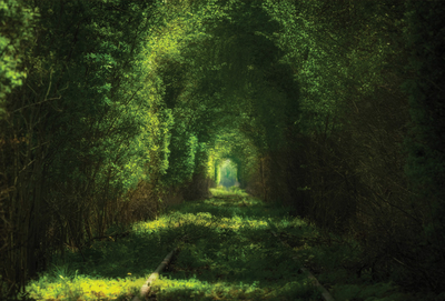 Tunnel of Love