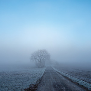 Winter misty landscape