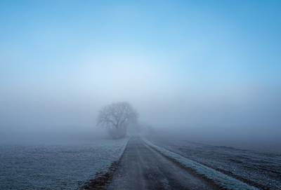 Winter misty landscape