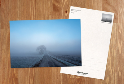 Winter misty landscape