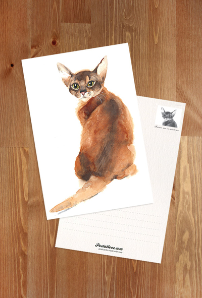 Abyssinian cat - watercolor
