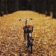 Agata Dobrzańska - Autumn bike