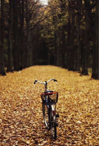 Agata Dobrzańska - Autumn bike