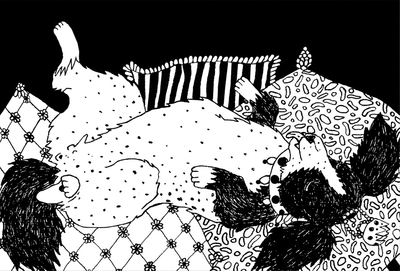 Dobrusia Rurańska - Lap dog