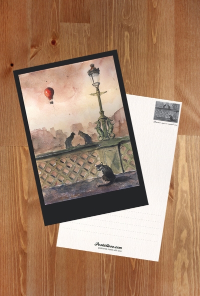 Grzegorz Chudy - Cats of Dublin
