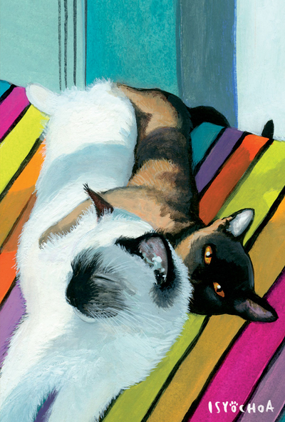 Isy Ochoa - My beloved cats