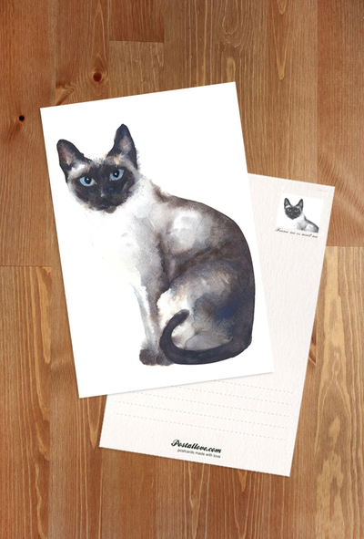 Siamese cat - watercolor