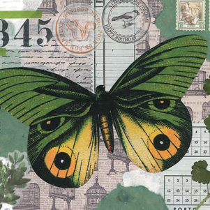 Marika Wieczorek - Butterfly in green