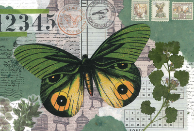 Marika Wieczorek - Butterfly in green