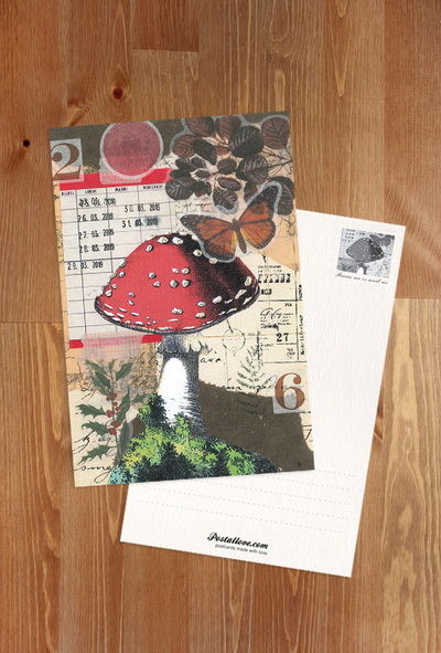 Marika Wieczorek - Toadstool