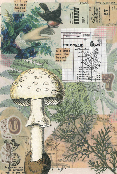 Marika Wieczorek - Fern forest