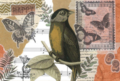 Marika Wieczorek - Bird and butterflies