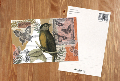 Marika Wieczorek - Bird and butterflies