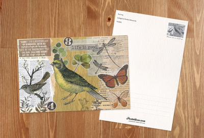Marika Wieczorek - Bunting bird 
