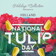 Mr Lemon - National Tulip Day