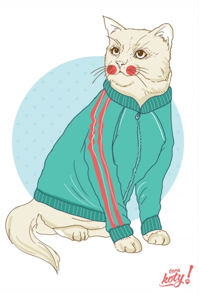 Terakoty - Sport Cat