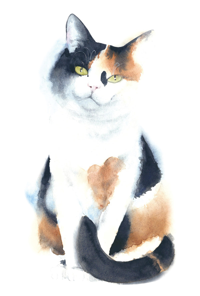 Tricolor cat - watercolor