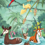 Animals in the jungle