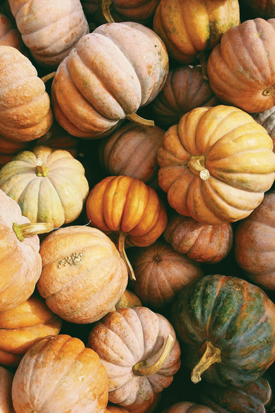 Autumn Pumpkins 