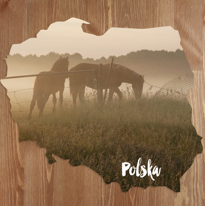 Map - Horses