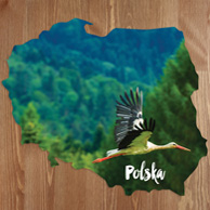 Map - Flying stork