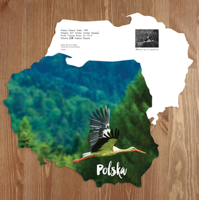 Map - Flying stork
