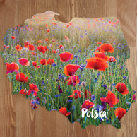 Map - Poppies field
