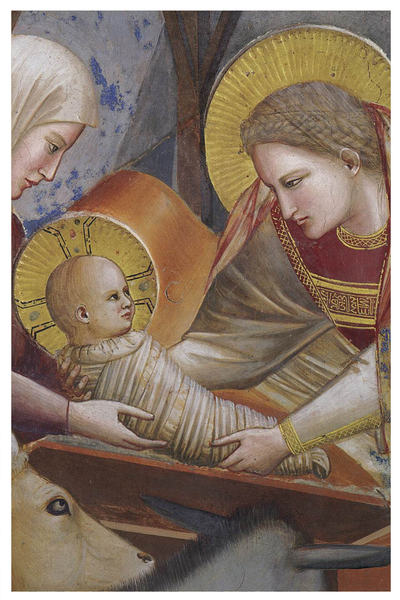Giotto di Bondone, Boże Narodzenie