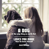 Quote 'A dog is the only thing on earth that loves...'