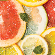 Bookmark - Citrus fruits