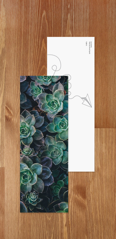 Bookmark - Succulents