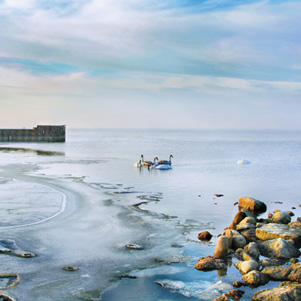 Poland - Love to be here... - Baltic Sea in winter