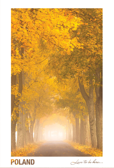  Poland - Love to be here... - Autumn
