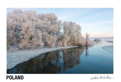 Poland - Love to be here... - Narew river in winter