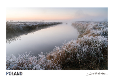 Poland - Love to be here... - Frosty morning on the Narew river