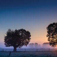  Poland - Love to be here... - Willows Morning 